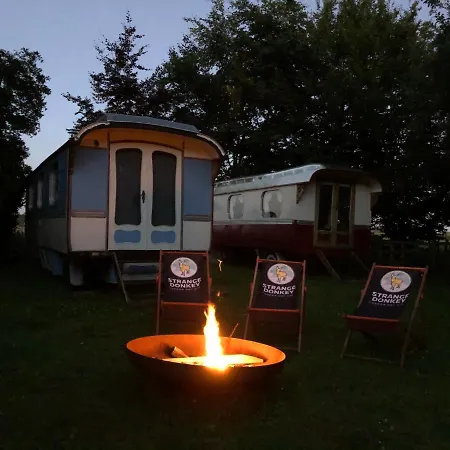 Bed & Breakfast Vennehoeve Vremde